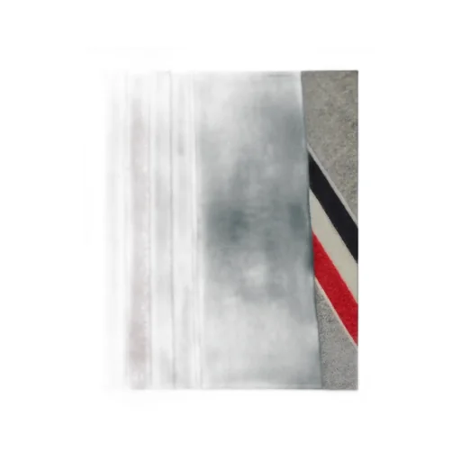 Rwb Stripe Detailed Knitted Scarf