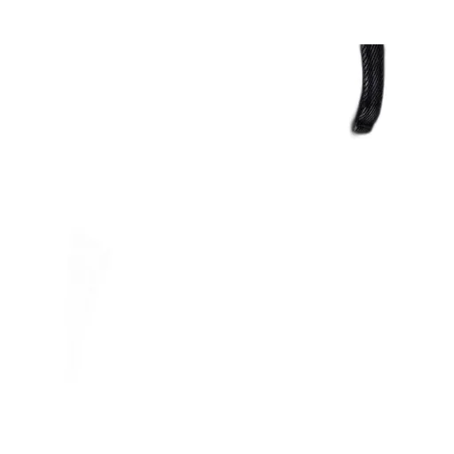 Logo Patch Cropped Wide-Leg Jeans