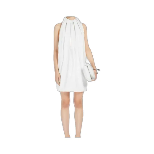 Arizona Open Back Sleeveless Mini Dress