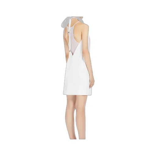 Arizona Open Back Sleeveless Mini Dress