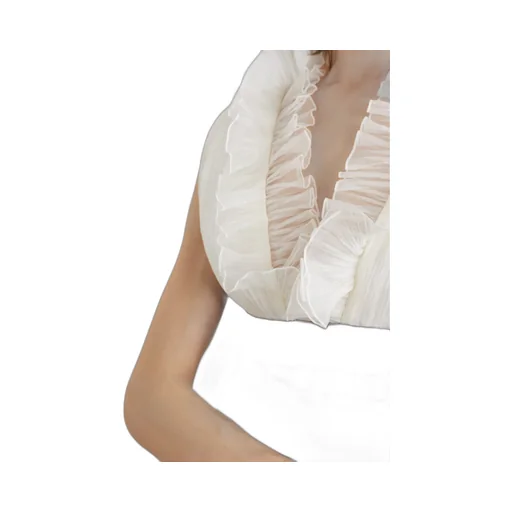 Ruffled V-Neck Blouse