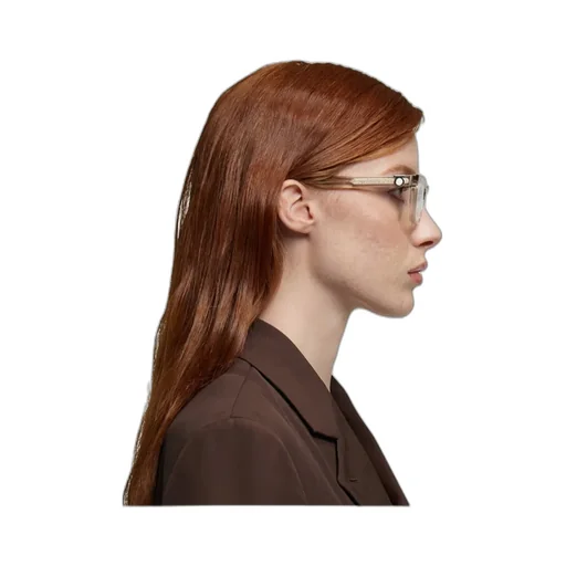 Optical Glasses