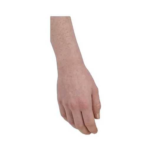 Silk Trouser