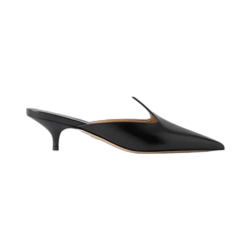 Pointed Toe Mules