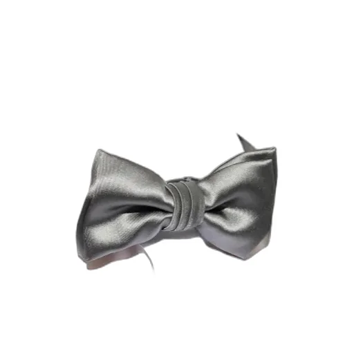 Logo Bow Tie