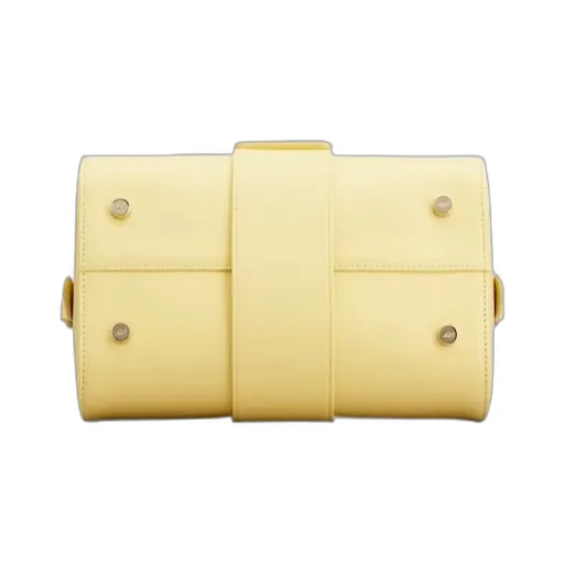 Belle Vivier Mini Tote Bag