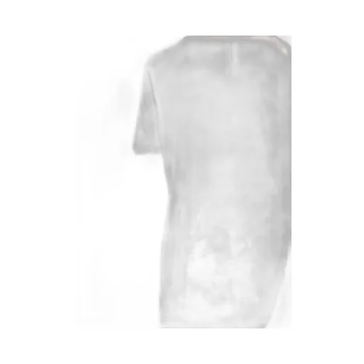 Organic Cotton T-Shirt
