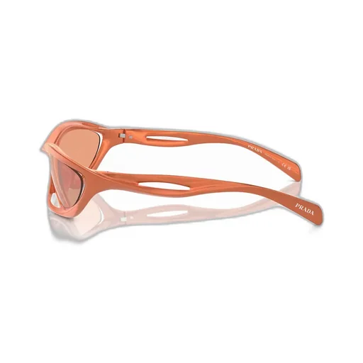 Cat-Eye Sunglasses