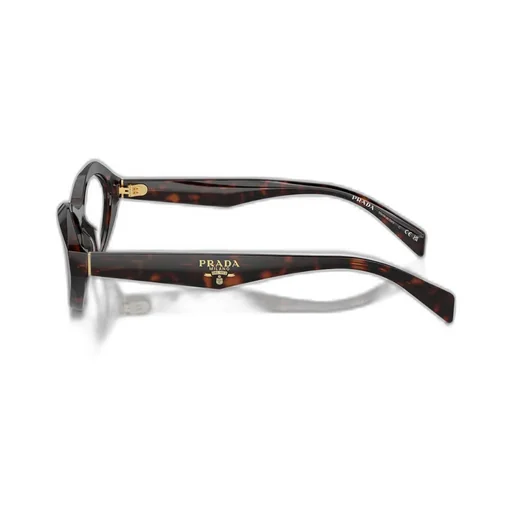 Cat-Eye Frame Glasses