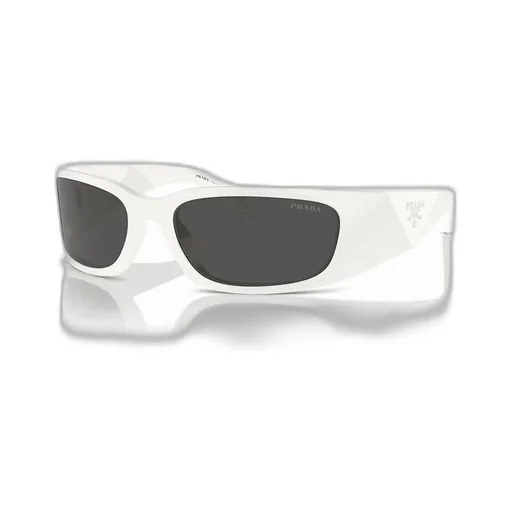 Butterfly Frame Sunglasses