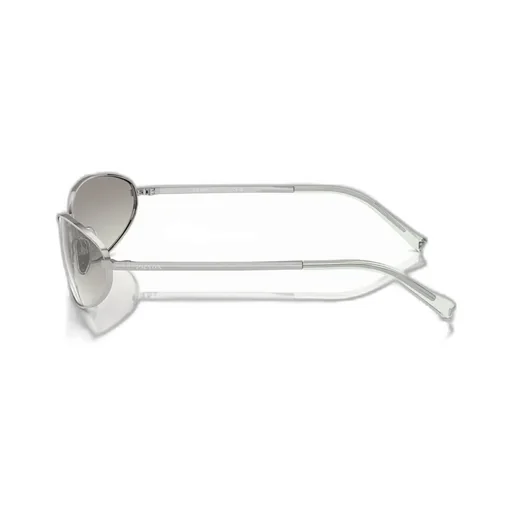 Oval Frame Sunglasses