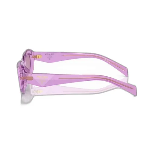 Cat-Eye Sunglasses
