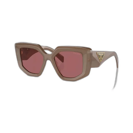 Butterfly Frame Sunglasses