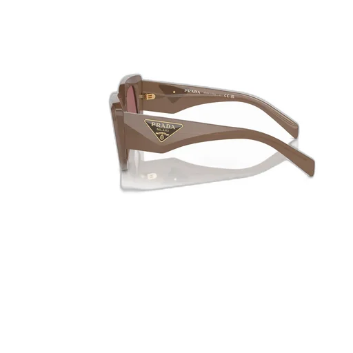 Butterfly Frame Sunglasses