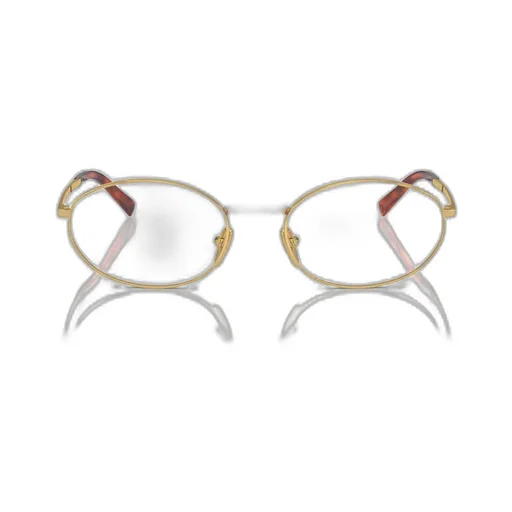 Oval Frame Glasses
