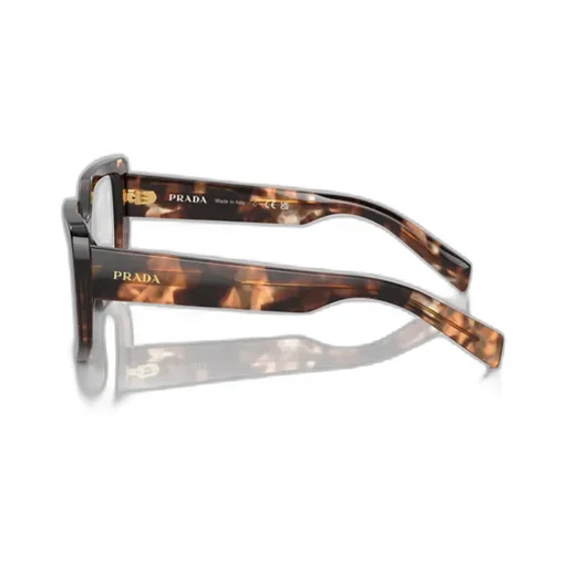 Cat-Eye Glasses