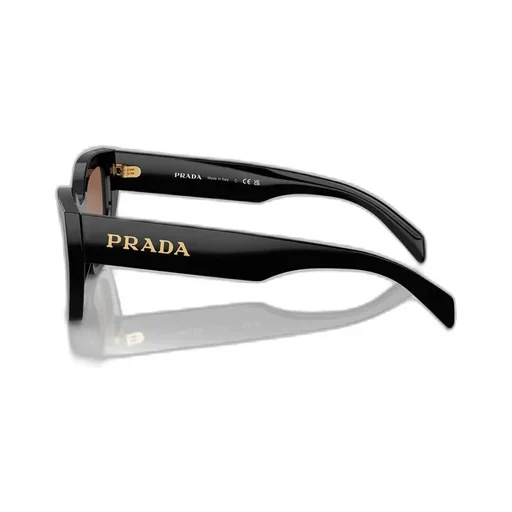 Cat-Eye Sunglasses