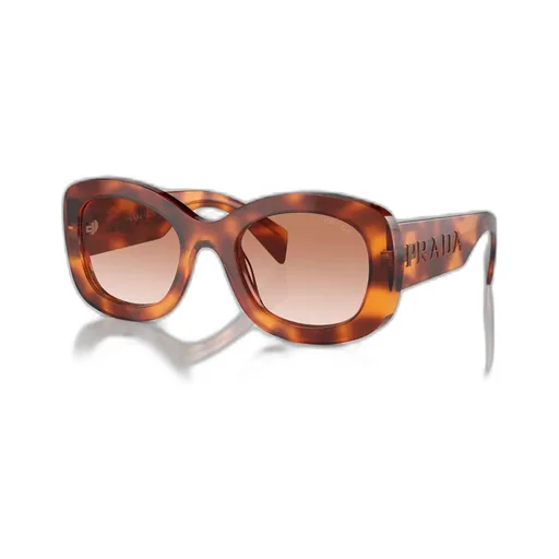 Oval Frame Sunglasses