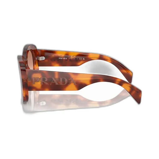 Oval Frame Sunglasses