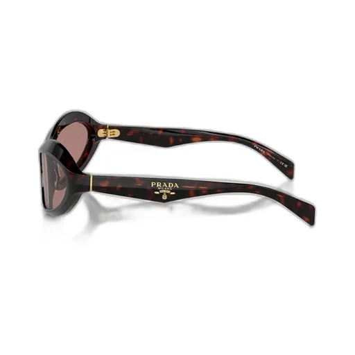 Cat-Eye Sunglasses