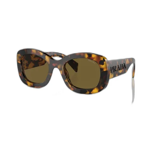 Oval Frame Sunglasses