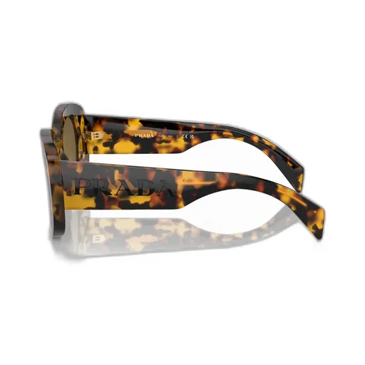 Oval Frame Sunglasses