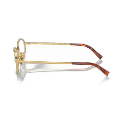 Oval Frame Glasses