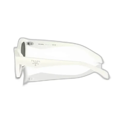 Cat-Eye Sunglasses