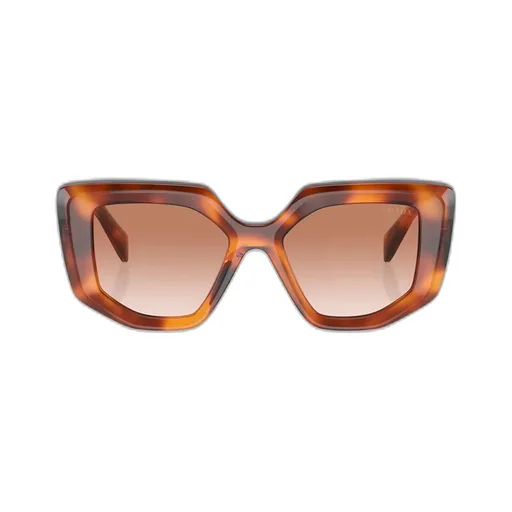 Butterfly Frame Sunglasses