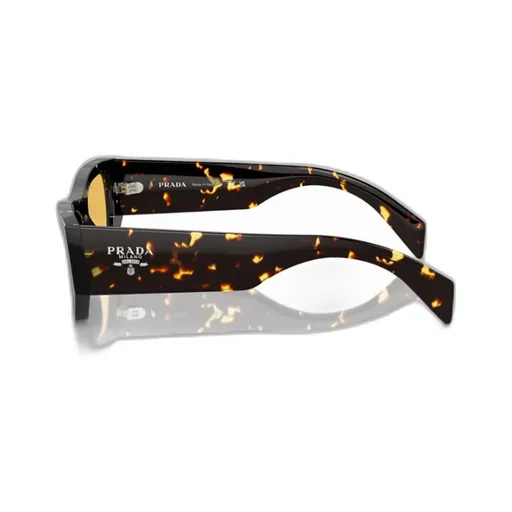 Cat-Eye Sunglasses