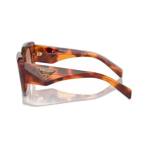 Butterfly Frame Sunglasses