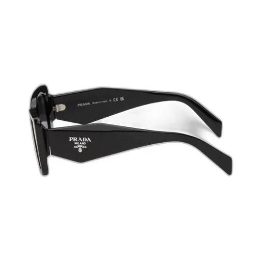 Cat's Eye Frame Sunglasses