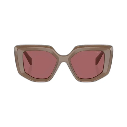 Butterfly Frame Sunglasses
