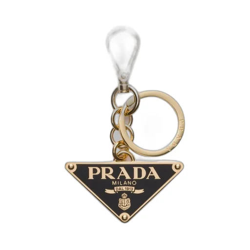 Logo Plaque Clasp-Fastened Keyring
