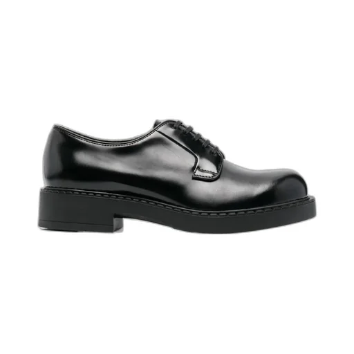 Polished Finish Derby Shoes