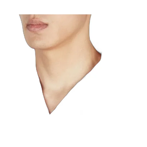 Lapel Short-Sleeved Shirt