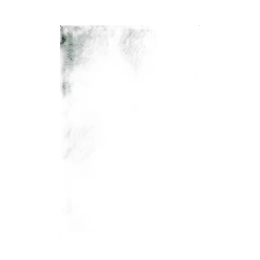 Long-Sleeved Fur Coat