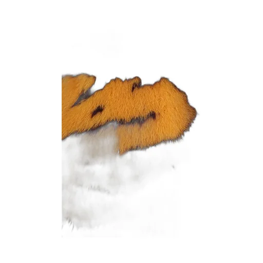 Round Collar Fur