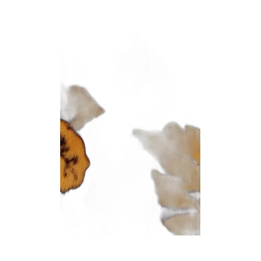 Round Collar Fur