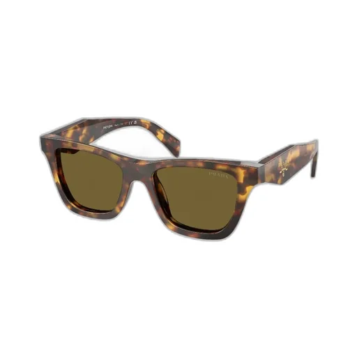 Full-Frame Sunglasses