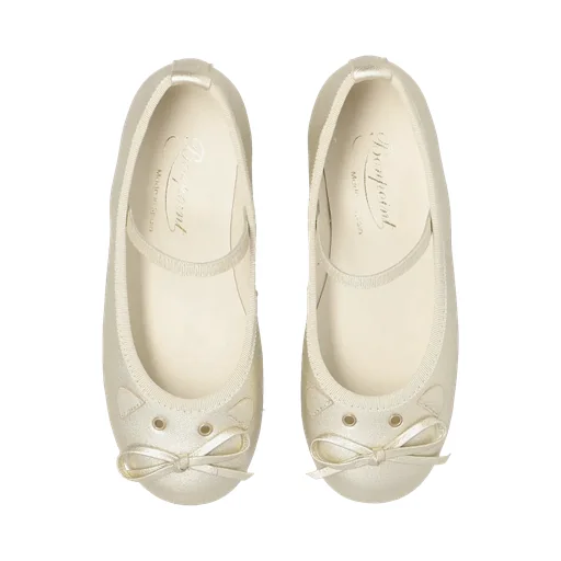 Metallic Ballerina Shoes