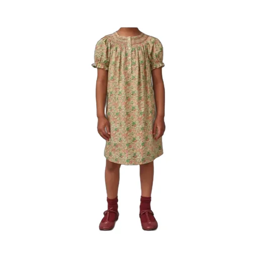 Balloon Sleeved Floral Printed Dress