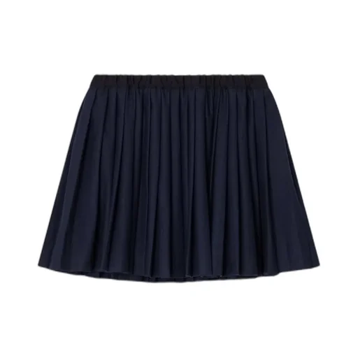 Flared Pleated Mini Skirt