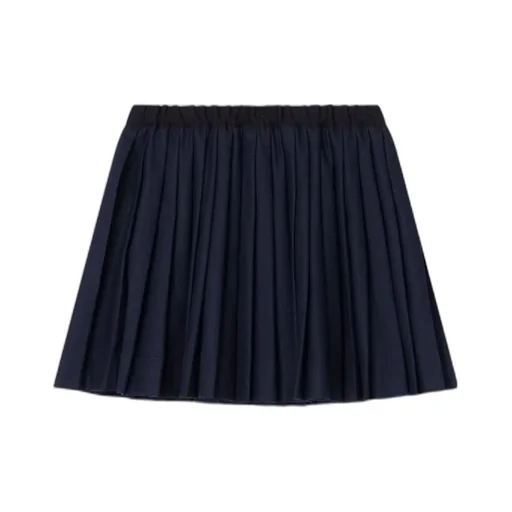 Flared Pleated Mini Skirt