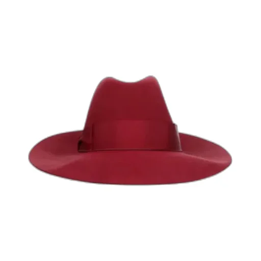 Curved Brim Hat