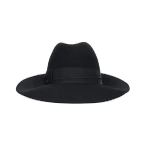 Curved Brim Hat