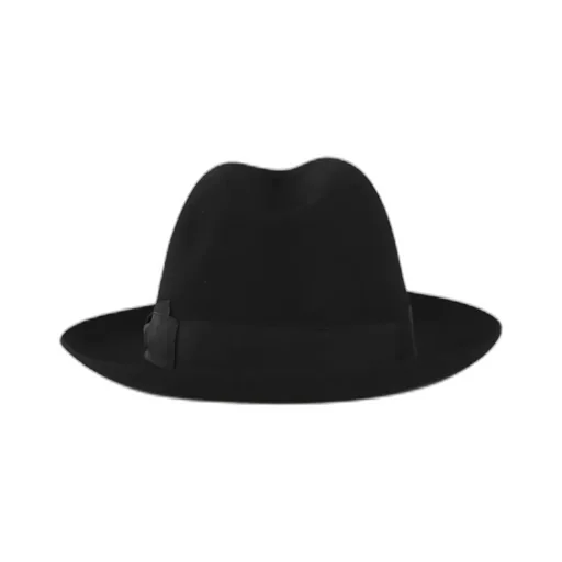Logo Hat
