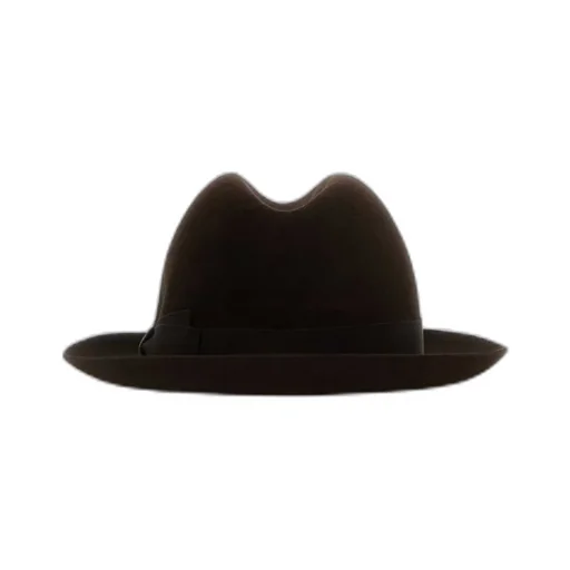 Damiano Medium-Brim Hat