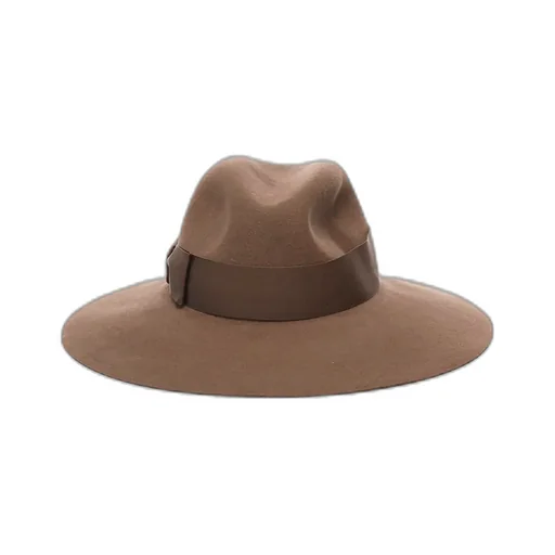 Wide Brim Felt Hat