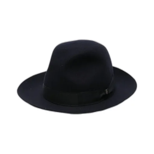 Wide-Brim Ribbon Hat